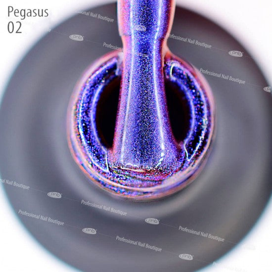 Magnetic Gel Nail Polish PNB Meteorites 02 Pegasus