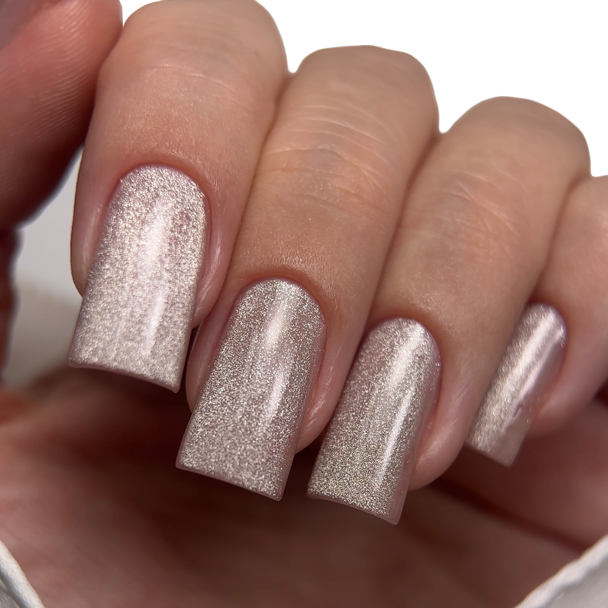 Magnetic Glamour cat