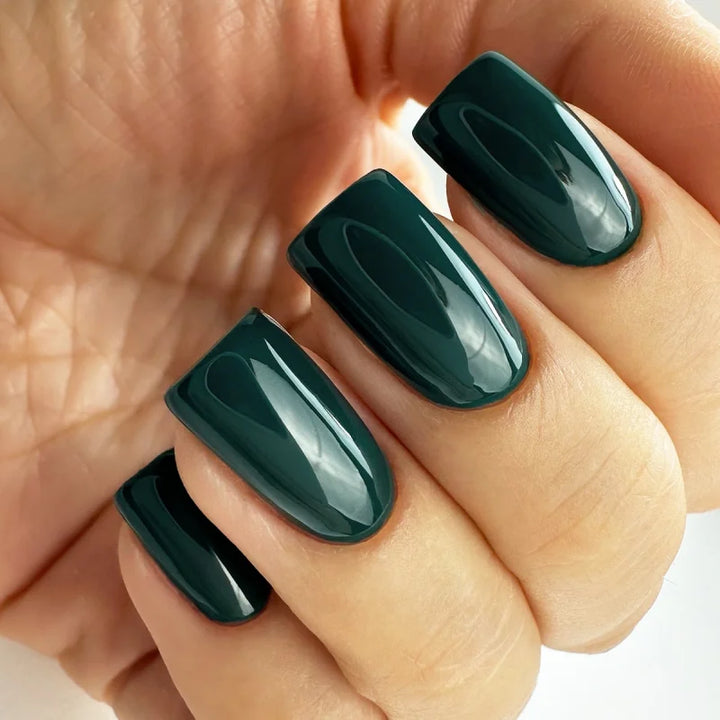 Gel nail polish PNB 8 ml 105