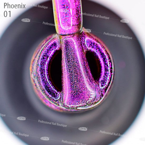 Magnetic Gel Nail Polish PNB Meteorites 01 Phoenix