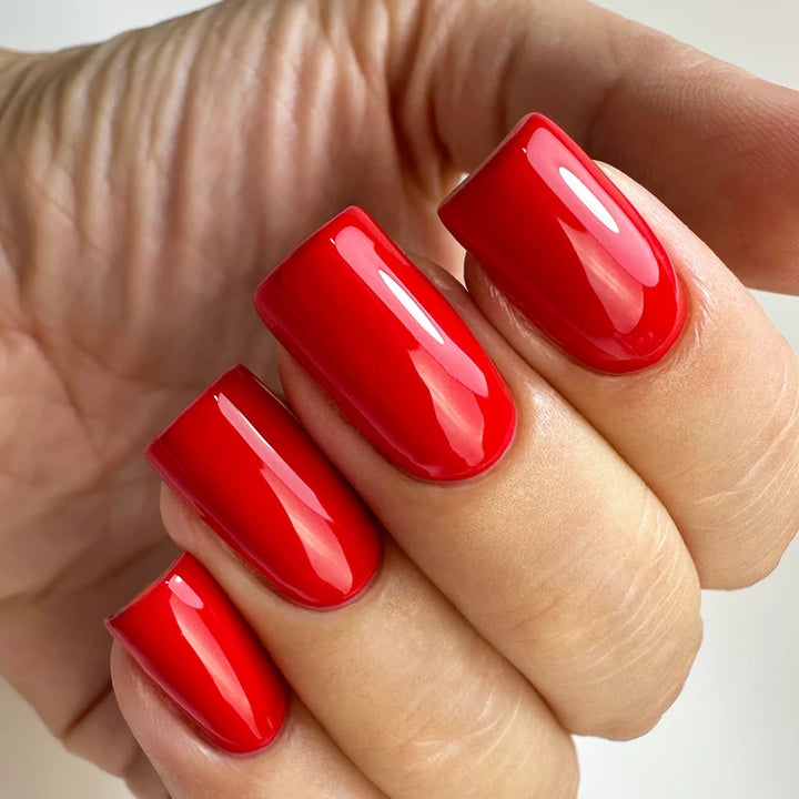 Gel nail polish PNB 8 ml 206