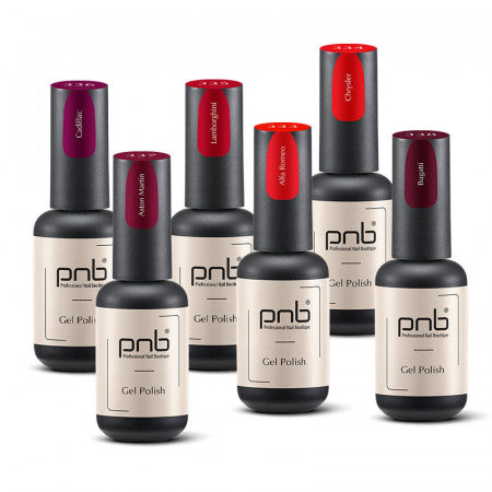 Gel Nail Polishes Kit “Luxurious and Exquisite”