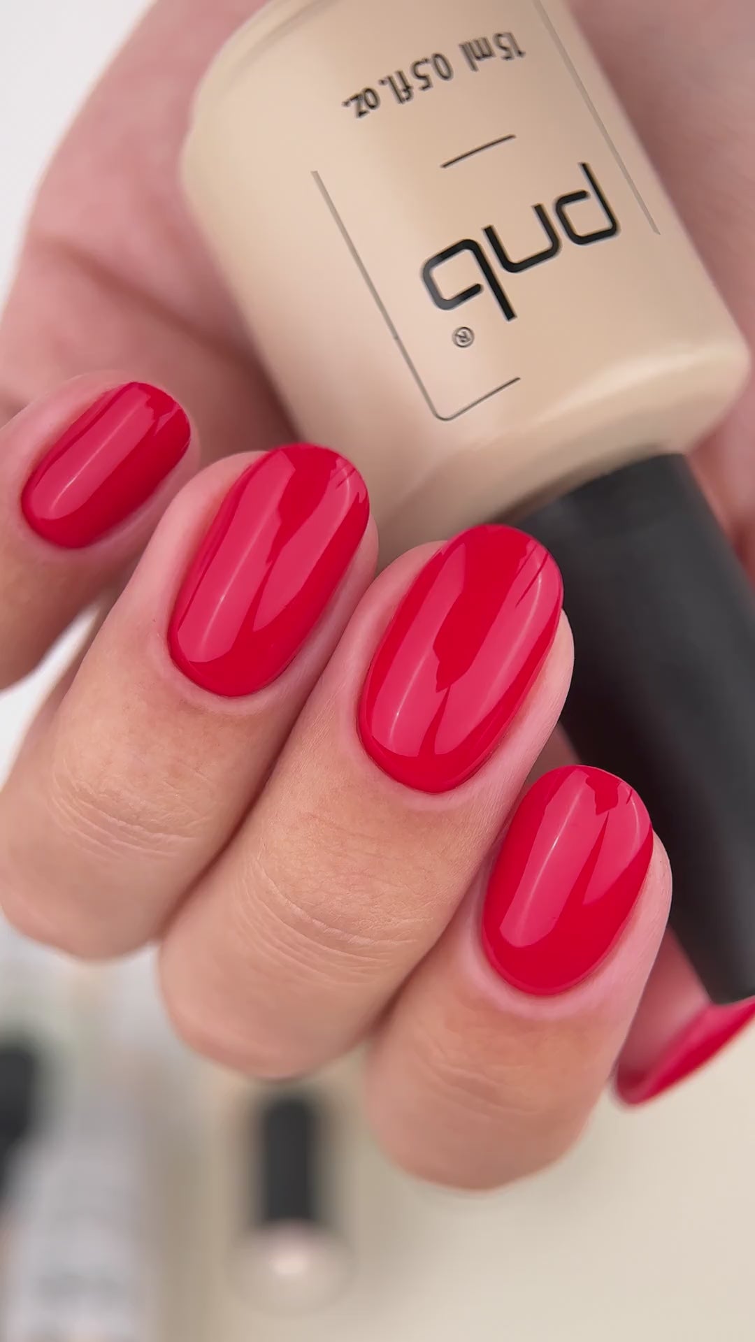 Gel nail polish PNB 8 ml 207